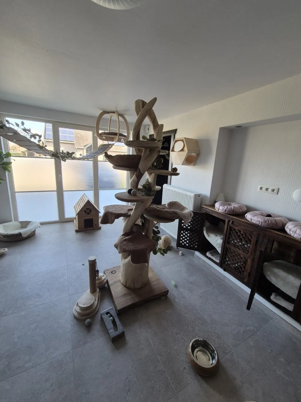 De leefruimte van het kattenhotel met klimbomen en slaapplekjes
