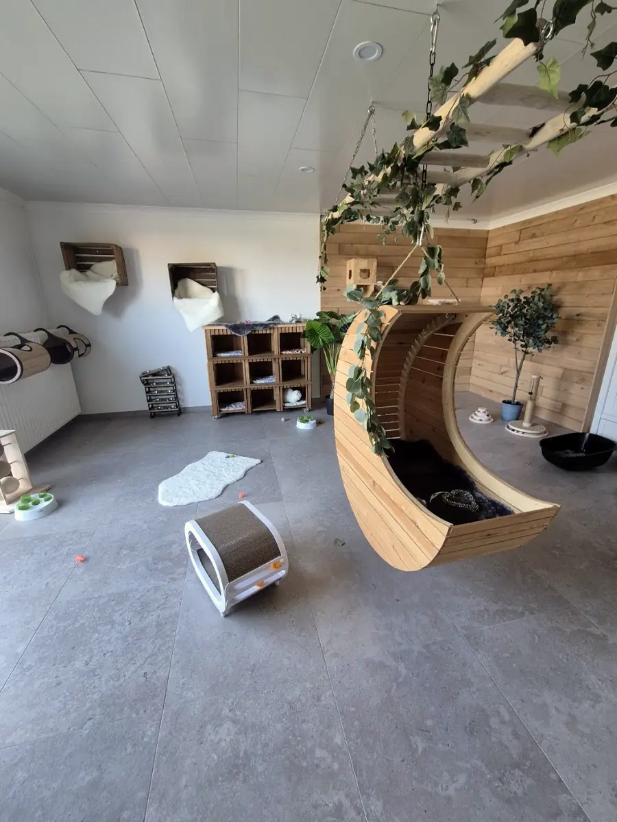 De leefruimte met een houten maan aan het plafond