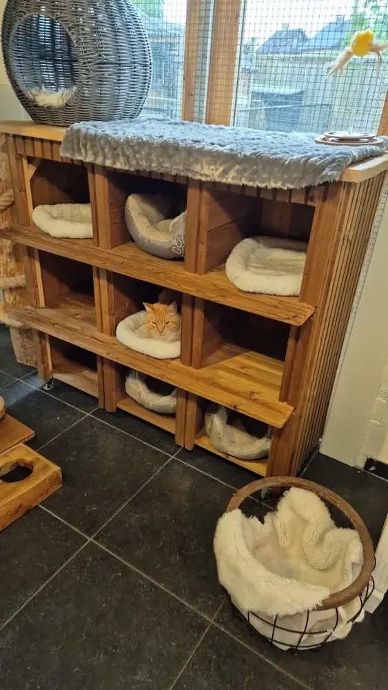 Houten slaapkastjes met zachte kussens en een rosse kat